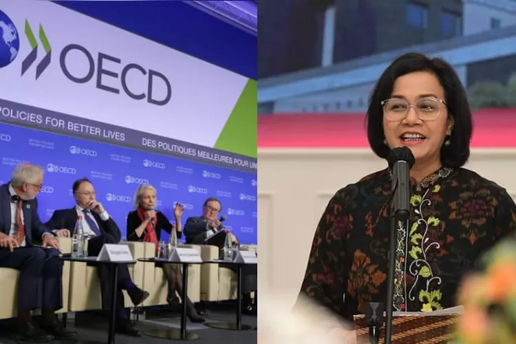 Menteri Keuangan Republik Indonesia Sri Mulyani, (OECD) Organisation for Economic Co-operation and Developmentor. (Instagram @smindrawati)