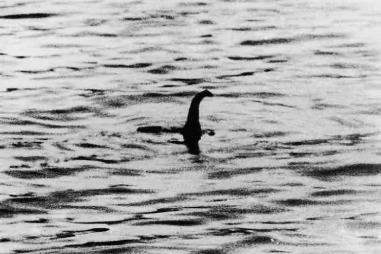 Monster Nessie digambarkan sebagai makhluk mitologis yang memiliki tubuh besar, bersirip dan berleher panjang. (Dok Foto Wikipedia)